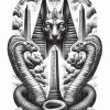 Egyptian God's Pack