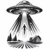 IMG_20240604_235057_035 UFO