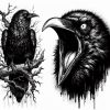 Crow's