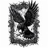Crow's