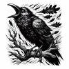Crow's