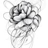 IMG_20240928_211822_179 Flowers