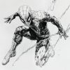 IMG_20240928_211712_866 Spiderman