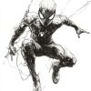 IMG_20240928_211713_378 Spiderman