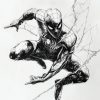 IMG_20240928_211713_497 Spiderman