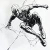 IMG_20240928_211712_799 Spiderman