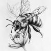 IMG_20240928_211654_891 Bee's
