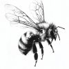 IMG_20240928_211655_244 Bee's