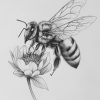 IMG_20240928_211655_280 Bee's