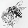 IMG_20240928_211655_452 Bee's