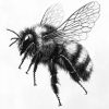 IMG_20240928_211655_533 Bee's
