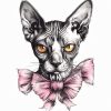 Cat's