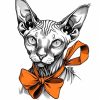 Cat's
