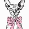 Cat's
