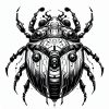 IMG_20241007_222653_147 Bugs