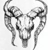IMG_20241007_220642_366 Goat Skull Pack 1