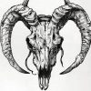 IMG_20241007_220642_539 Goat Skull Pack 1