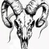 IMG_20241007_220642_757 Goat Skull Pack 1