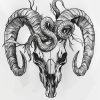 IMG_20241007_220635_127 Goat Skull Pack 2