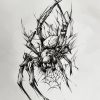 IMG_20241007_215258_922 Spider Pack