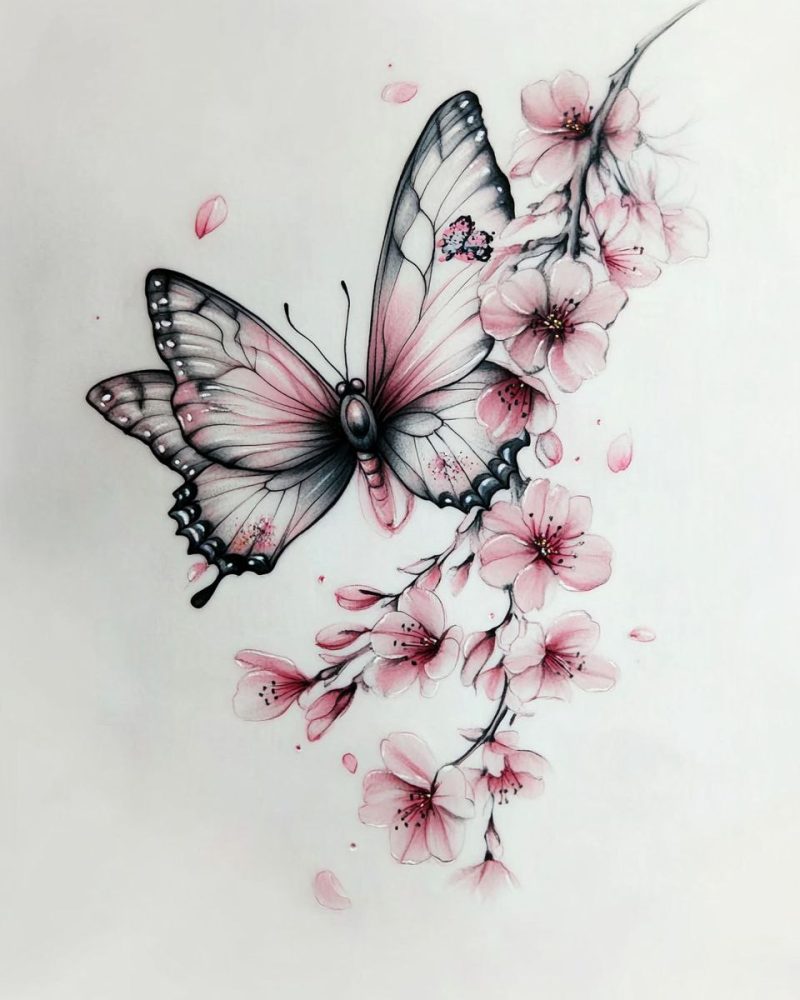 Butterfly