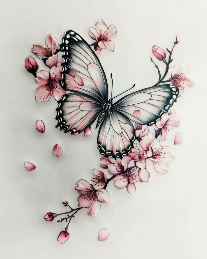 Butterfly